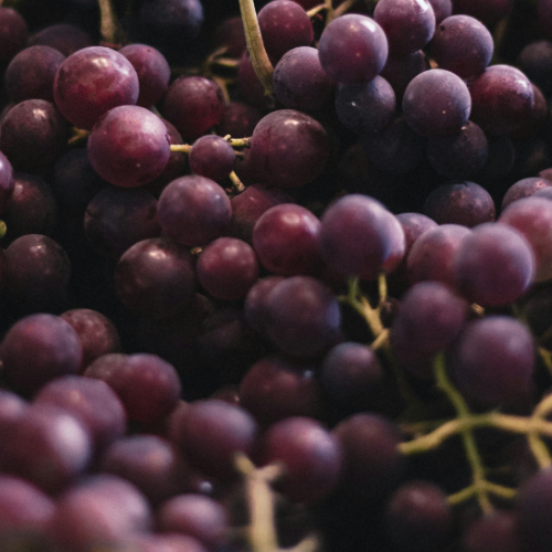 Óleo de semente de uva: o segredo leve e poderoso para uma pele hidratada e equilibrada