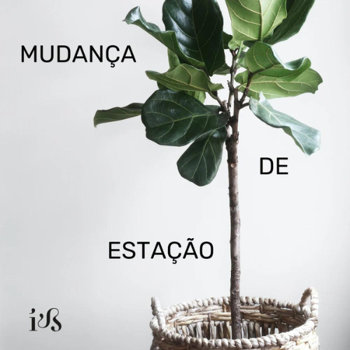 MUDANÇA DE ESTAÇÃO