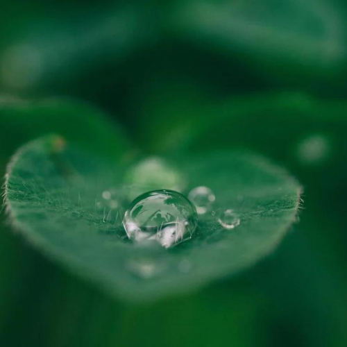 Economia circular e a viabilidade do planeta - Inner Beauty Cosméticos