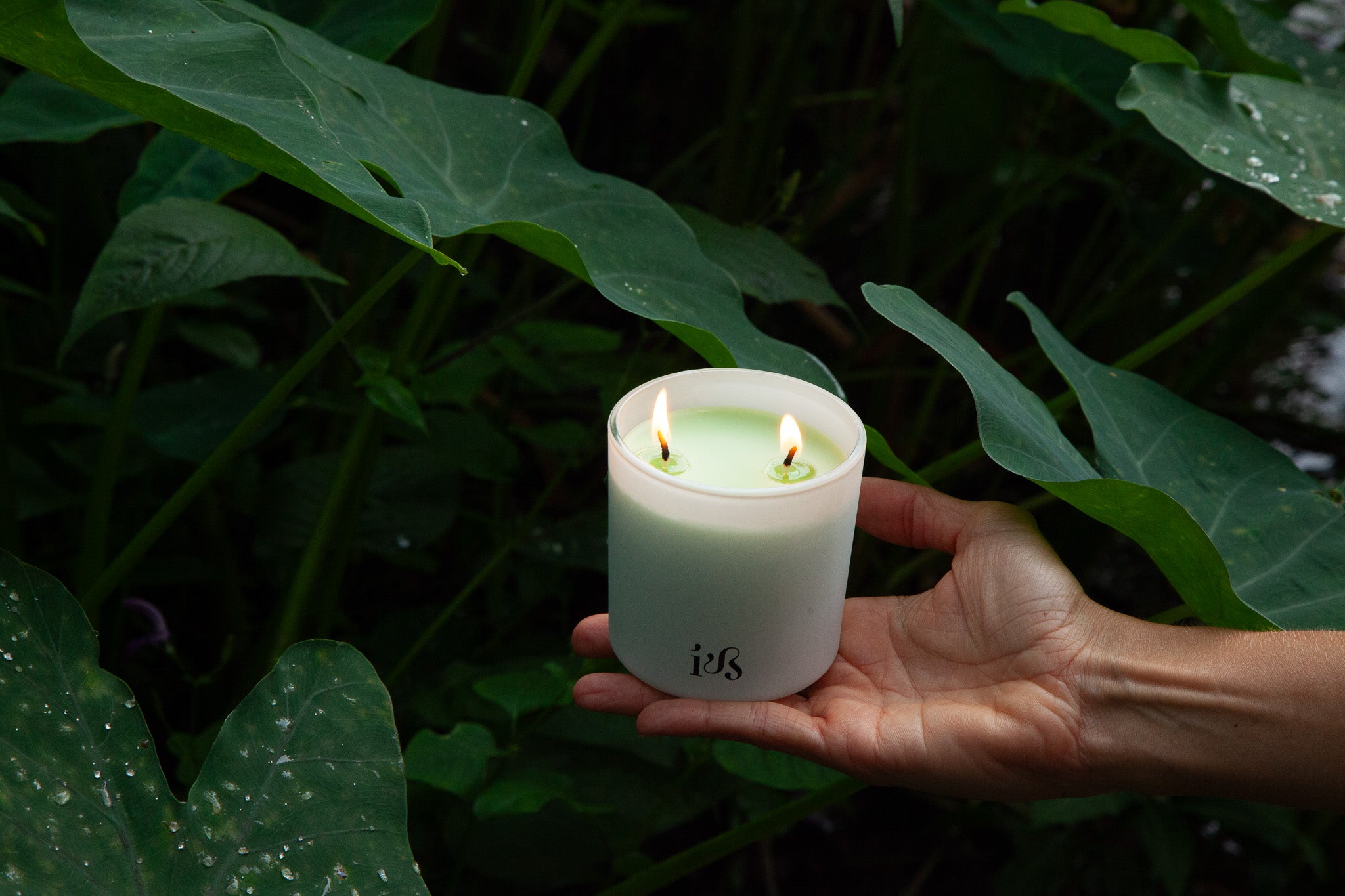 Ritual que transforma pequenos momentos em experiências